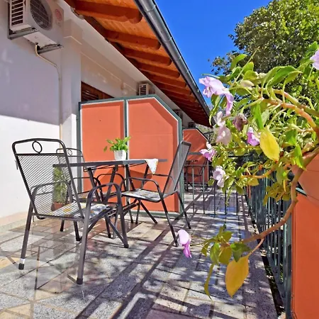 In Core Area Of Seline Apartment Starigrad Paklenica