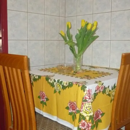 In Core Area Of Seline Apartment *