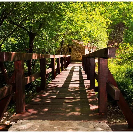 In Core Area Of Seline * Starigrad Paklenica