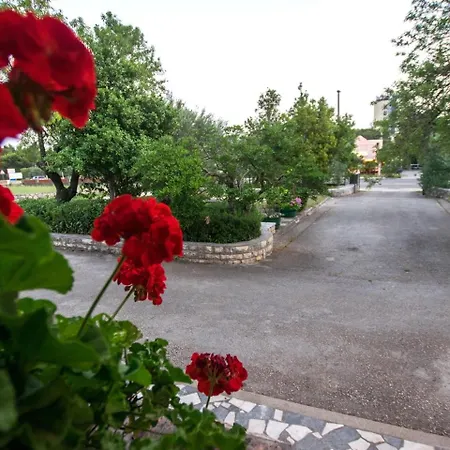 In Core Area Of Seline *